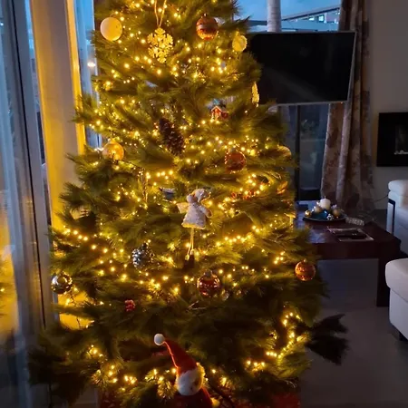 Apartment Sabina In Callao Salvaje Costa Adeje (Tenerife)