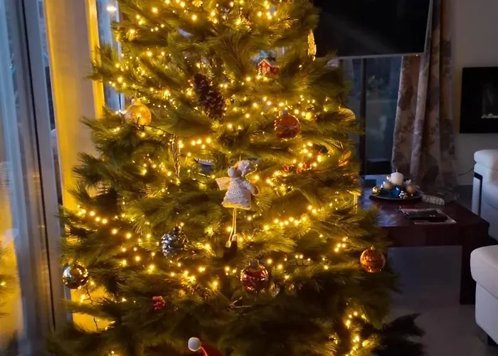 Apartment Sabina In Callao Salvaje Costa Adeje (Tenerife)